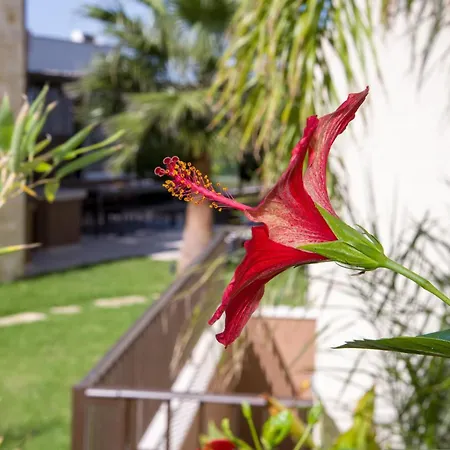 Almi-cove Hilltop Villa La Canea