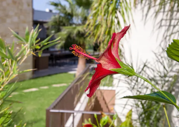 Almi-cove Hilltop Villa Chania (Crete)